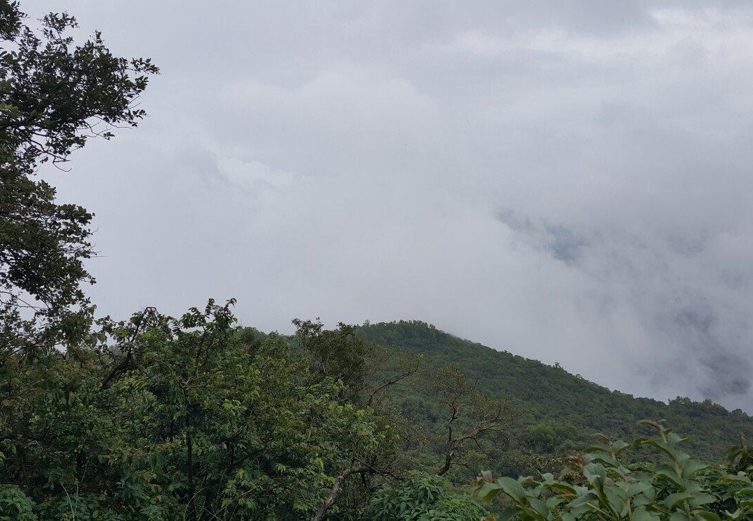 Jamboti Hills景点图片
