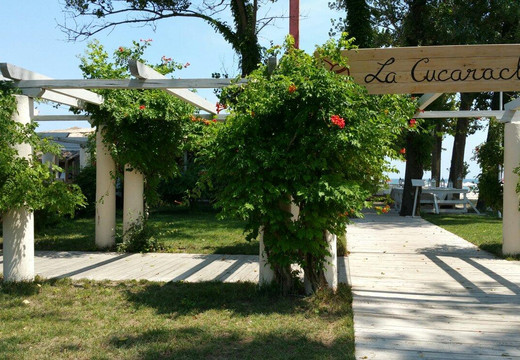 La Cucaracha-康斯坦萨必去景点