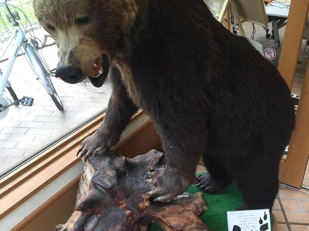 川湯生態博物館中心-弟子屈町必去景点