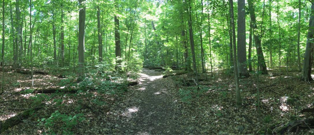 Shaw Woods Outdoor Education Centre景点图片