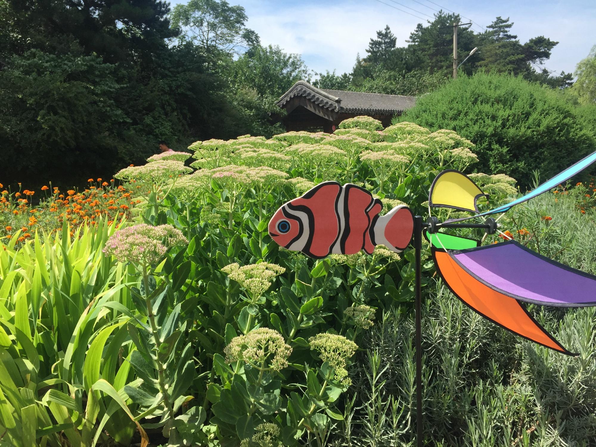 北京云峰山童话树屋-酒店景观
