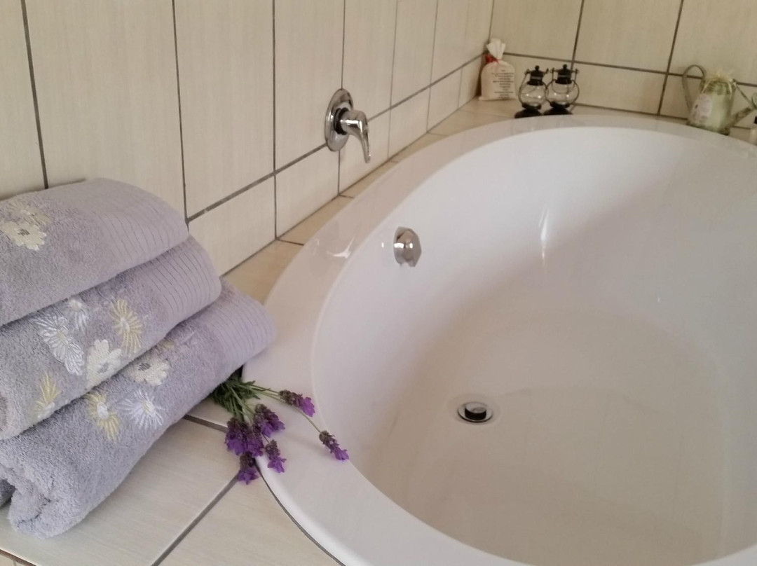 Dorpshuijs B&B主图