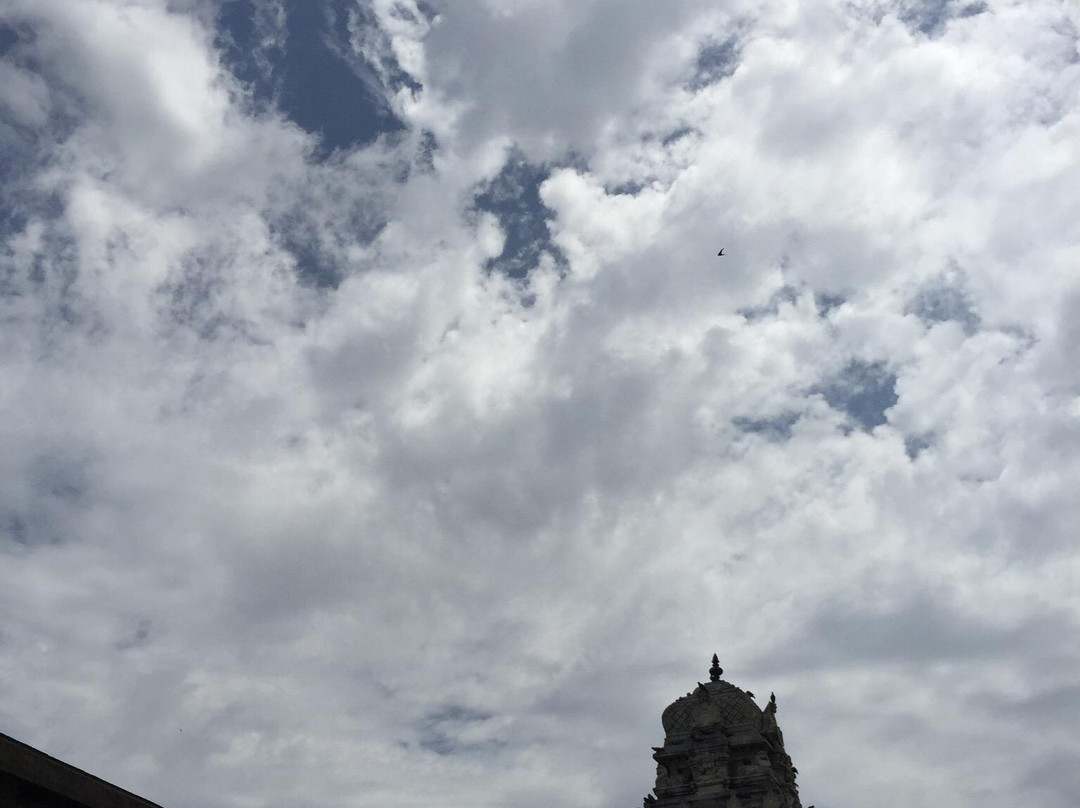 Sri Vijayaraghava Perumal Temple-Thiruputkuzhi必去景点