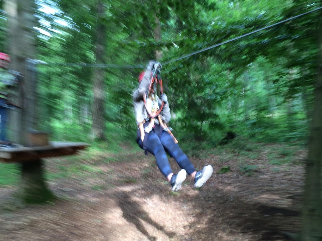 Upzone Adventure Park Angelholm景点图片