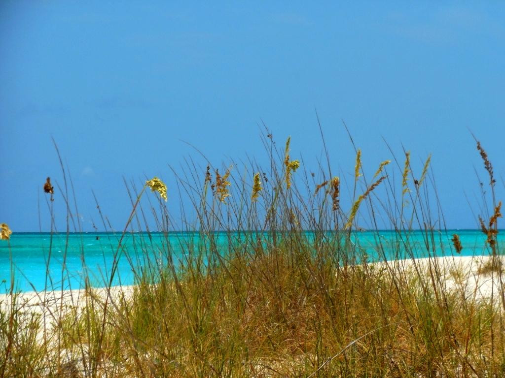 Half Moon Bay-普罗维登西亚莱斯必去景点