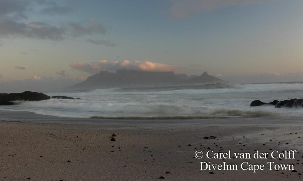 Dive Inn-Plumstead必去景点