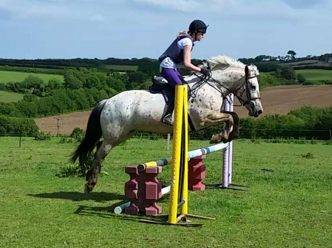 Newton Equestrian Holidays-Mullion必去景点