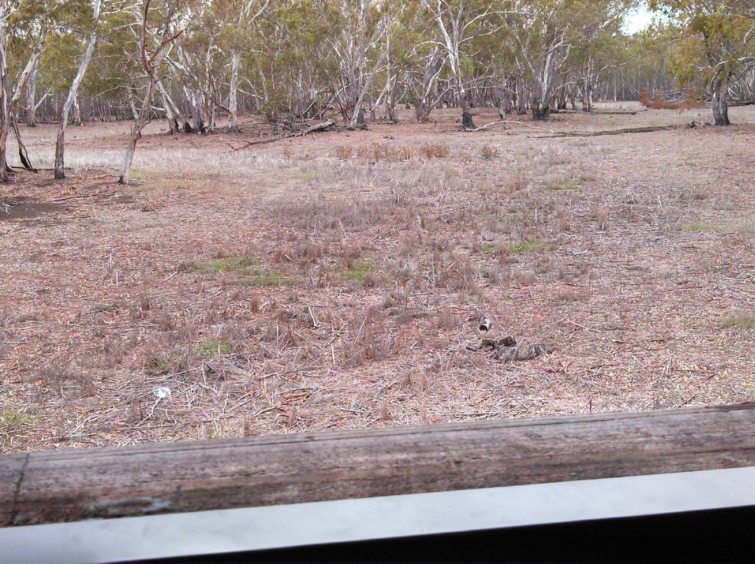 Jaypex Park-Nhill必去景点