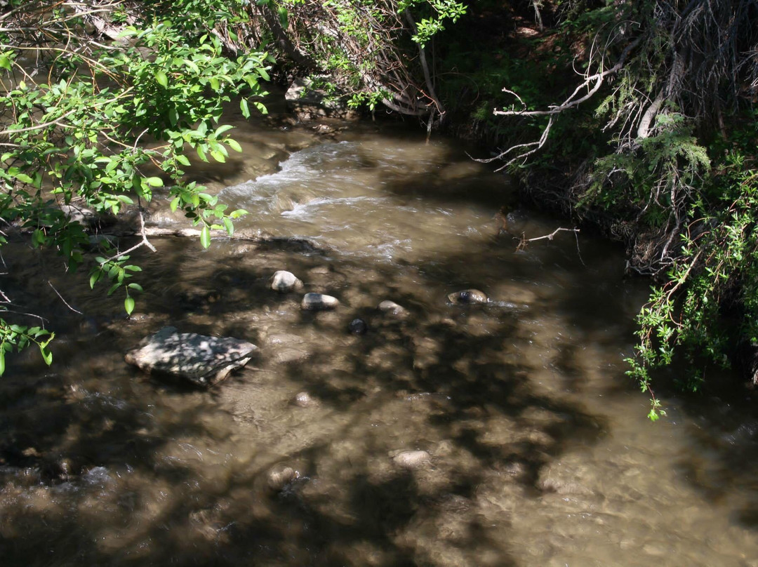 Cochrane Ranche Park-科克伦必去景点