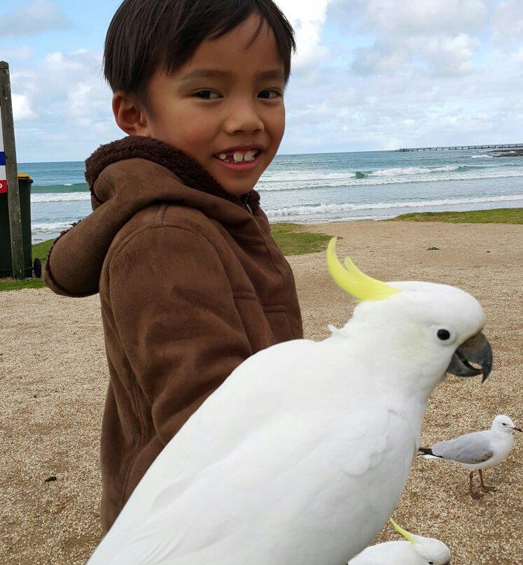 大洋路-阿波罗湾必去景点