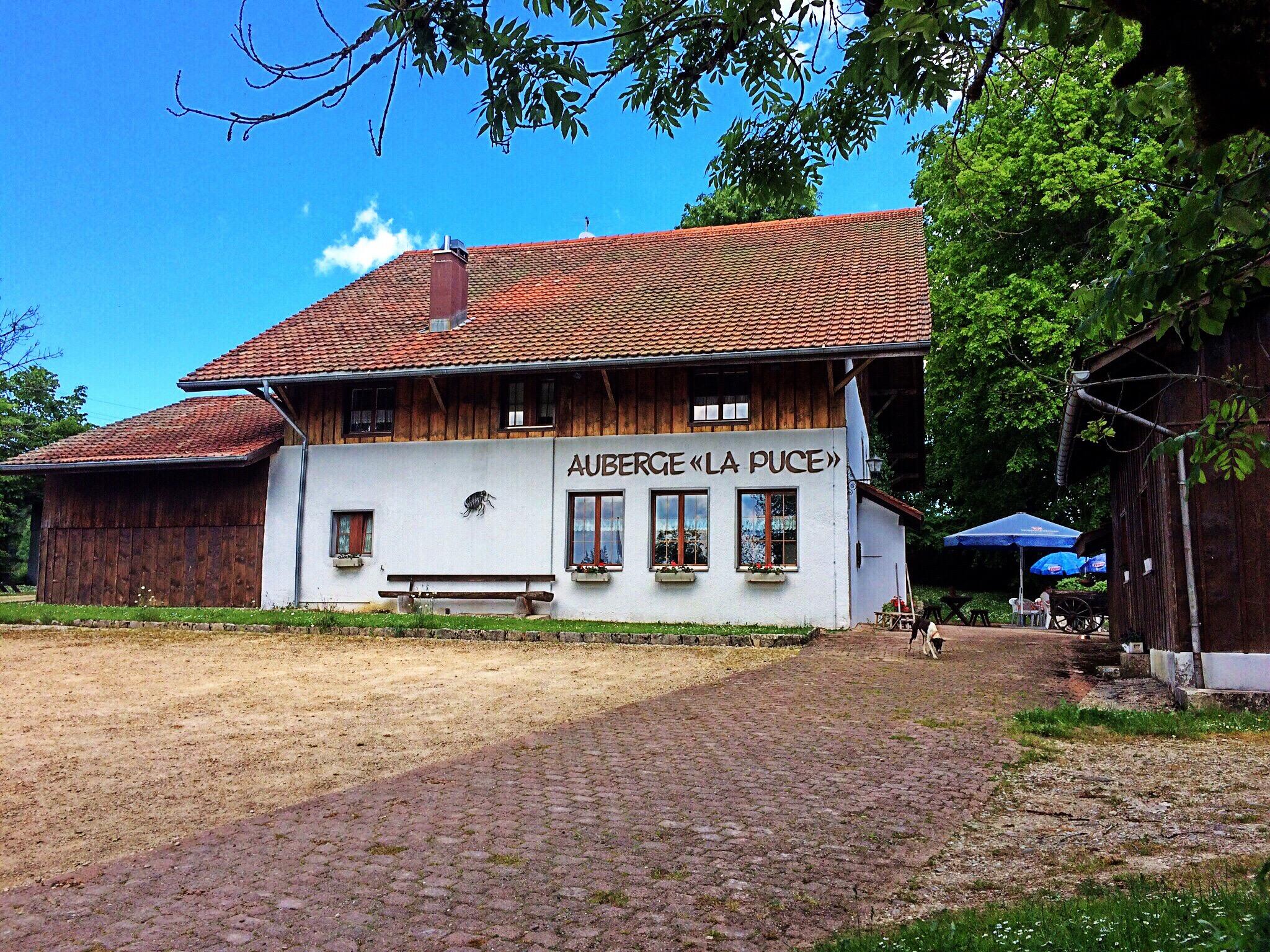Auberge La Puce-客卧