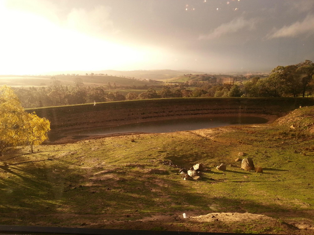 Cloud 9 Farm-Pipers Creek必去景点