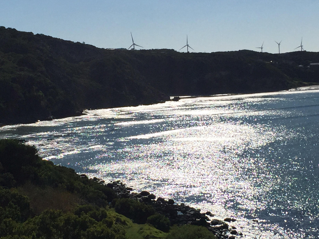 Cape Bridgewater Seal Walk-Cape Bridgewater必去景点