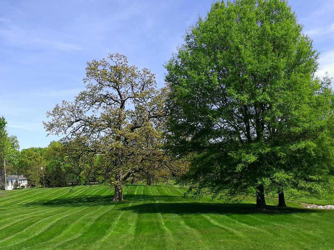 Des Peres City Park景点图片