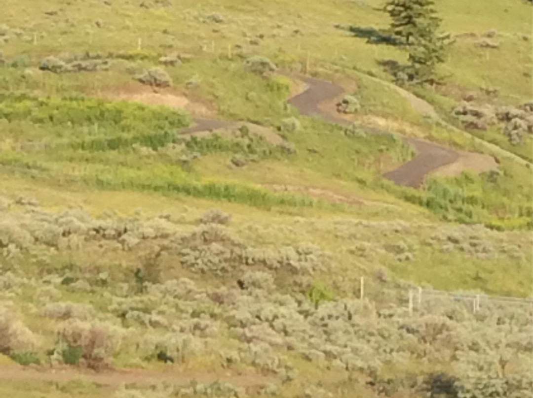 Kamloops Longboard Park景点图片
