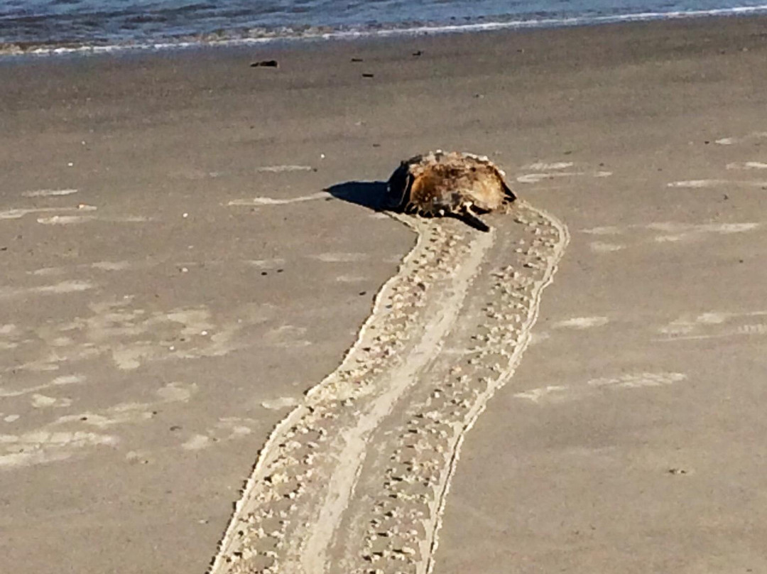 North Beach-泰碧岛必去景点