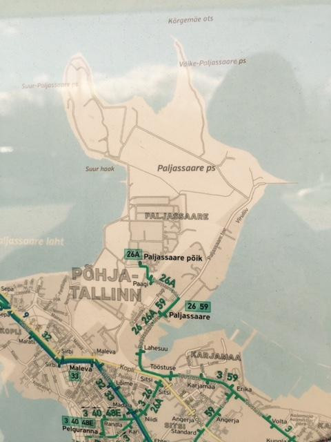 Paljassaare Special Conservation Area-塔林必去景点
