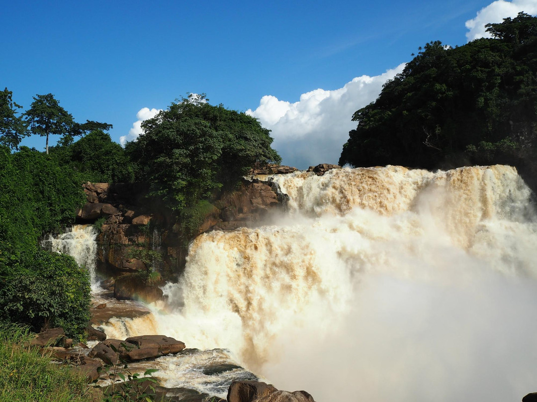 Zongo Falls景点图片