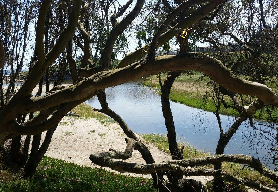 天然桥州立海滩-圣克鲁斯必去景点