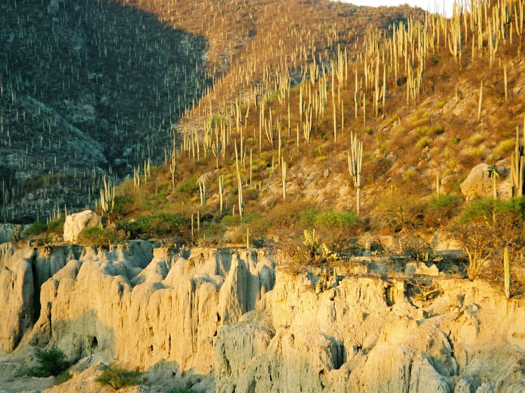 Tehuacan旅游攻略图片