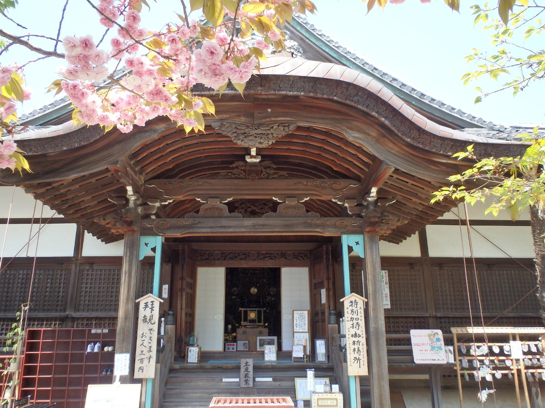 Zuiryuji Temple (Murakumogosho)景点图片