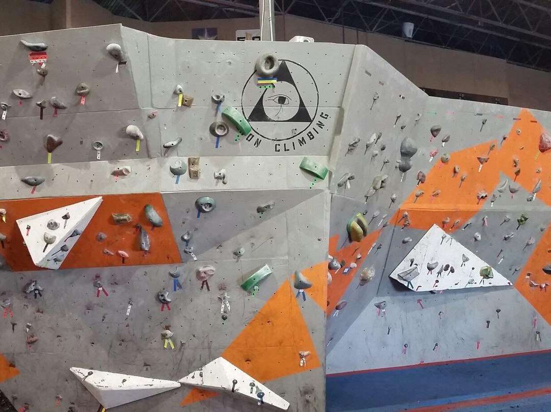 Dyno-Rock Indoor Climbing Center-阿灵顿必去景点