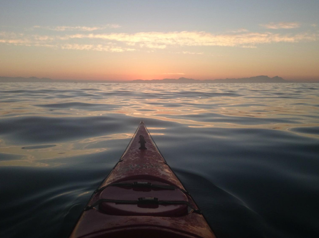 Black Pearl Adventures - Day Tours-高登湾必去景点