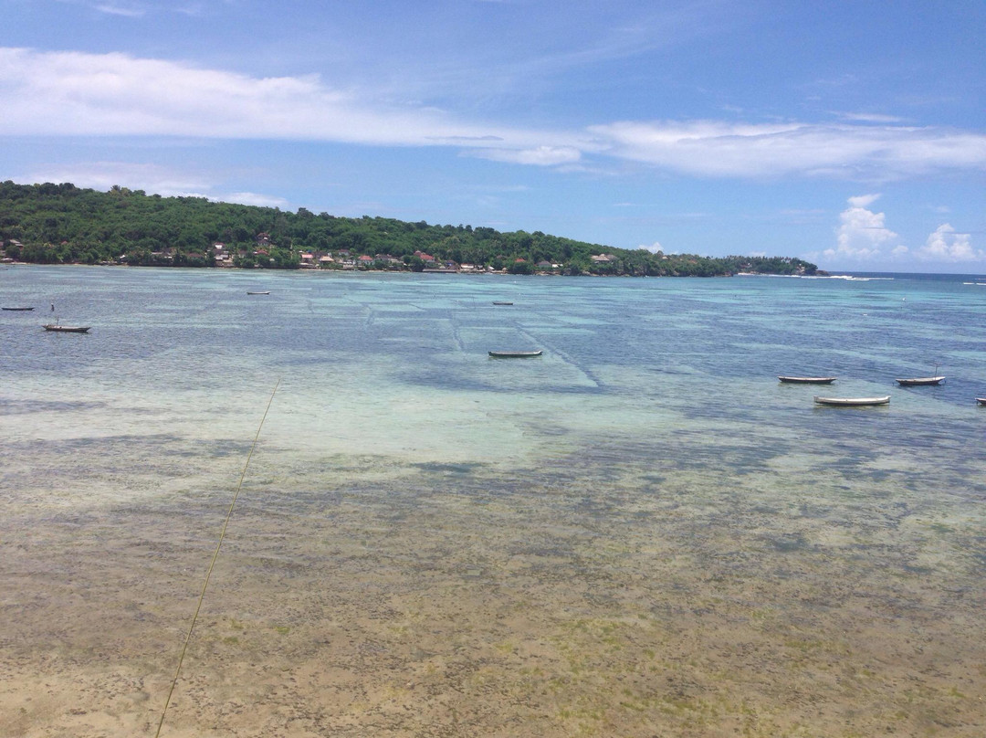 Mushroom Beach-蓝梦岛必去景点