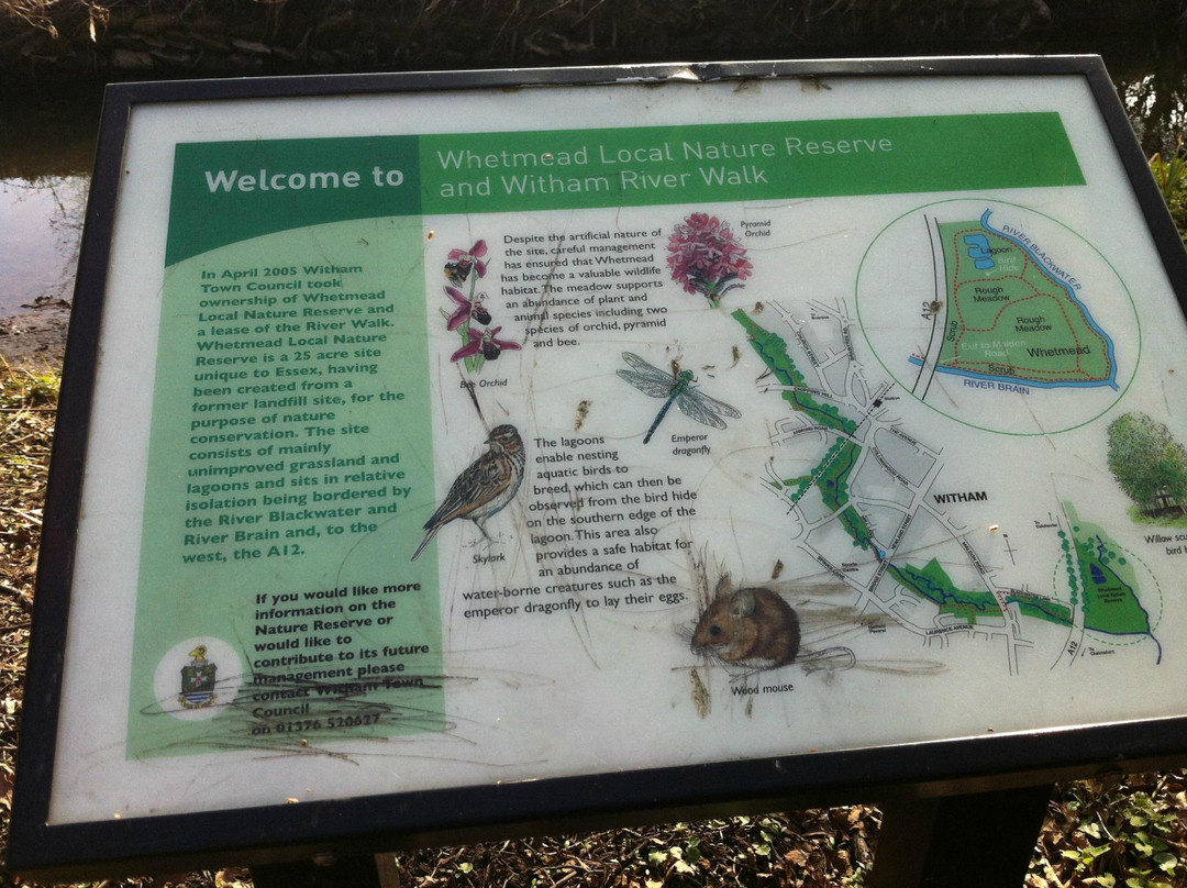 Whetmead Nature Reserve景点图片
