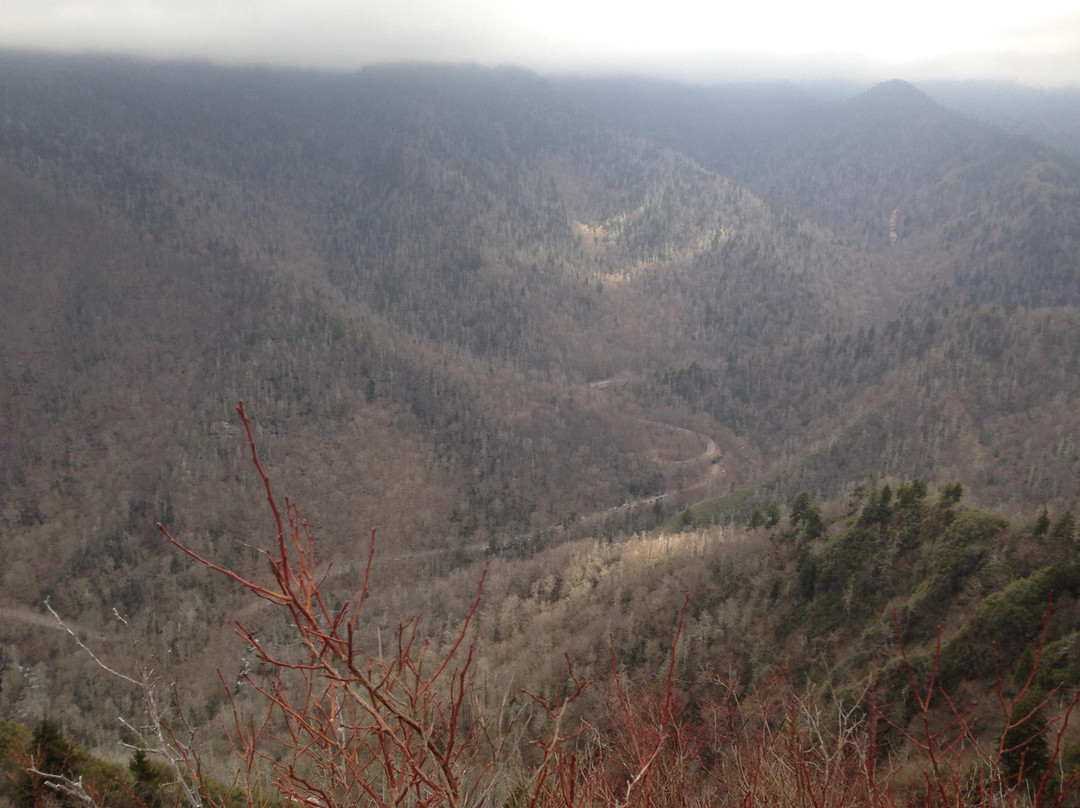 Chimney Tops Trail-大雾山国家公园必去景点