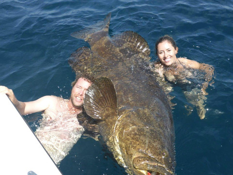 Chew On This-开普科勒尔必去景点