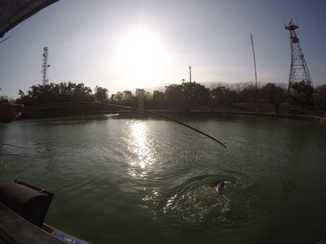 Sky Park On The Big Mountain