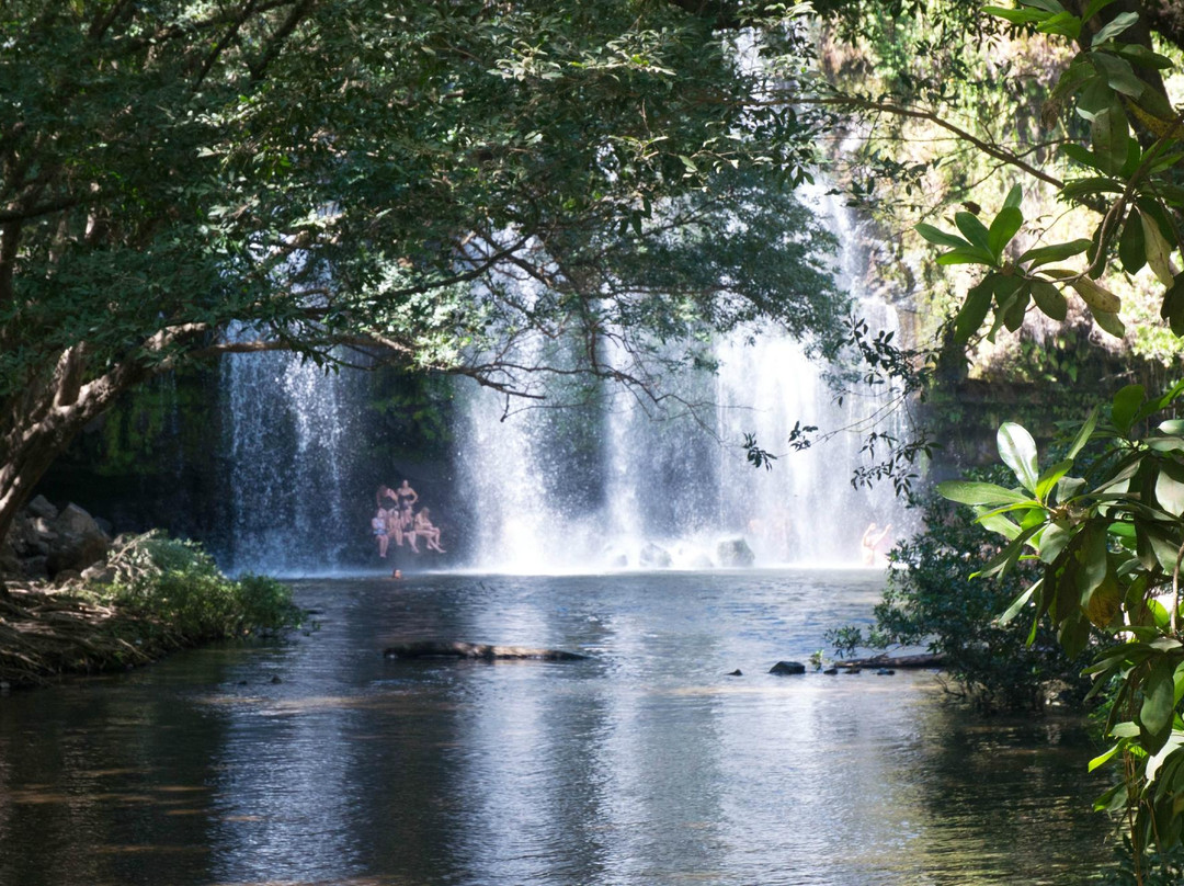 Cataratas Llanos de Cortés景点图片