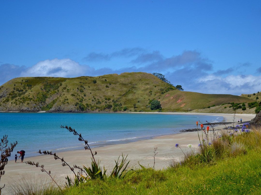 Opito Bay Beach景点图片