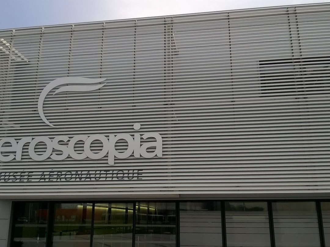 Aeroscopia景点图片