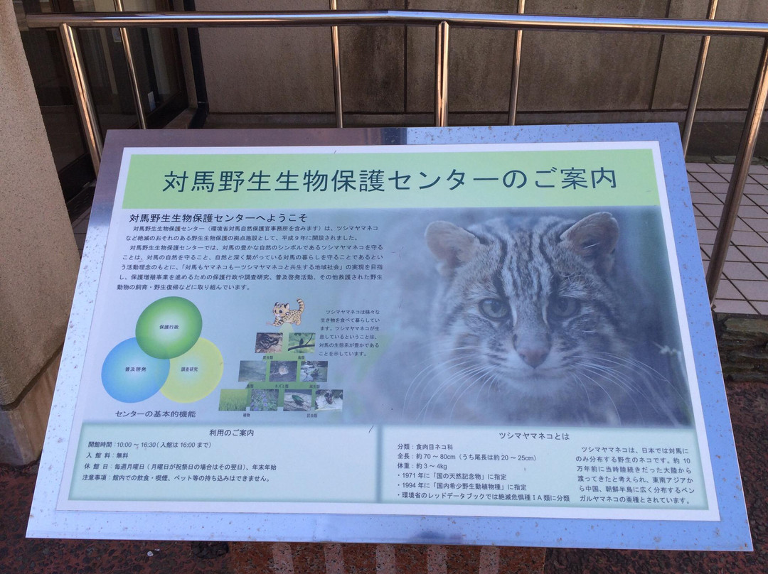 Tsushima Wildlife Conservation Center-对马市必去景点