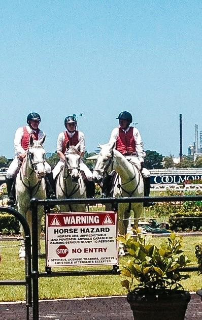 Rosehill Gardens Racecourse景点图片
