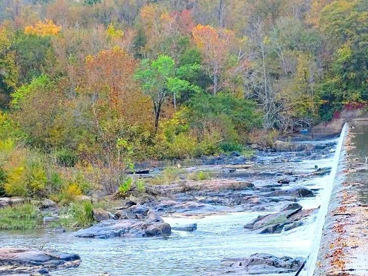 Lower Haw River State Natural Area-Pittsboro必去景点