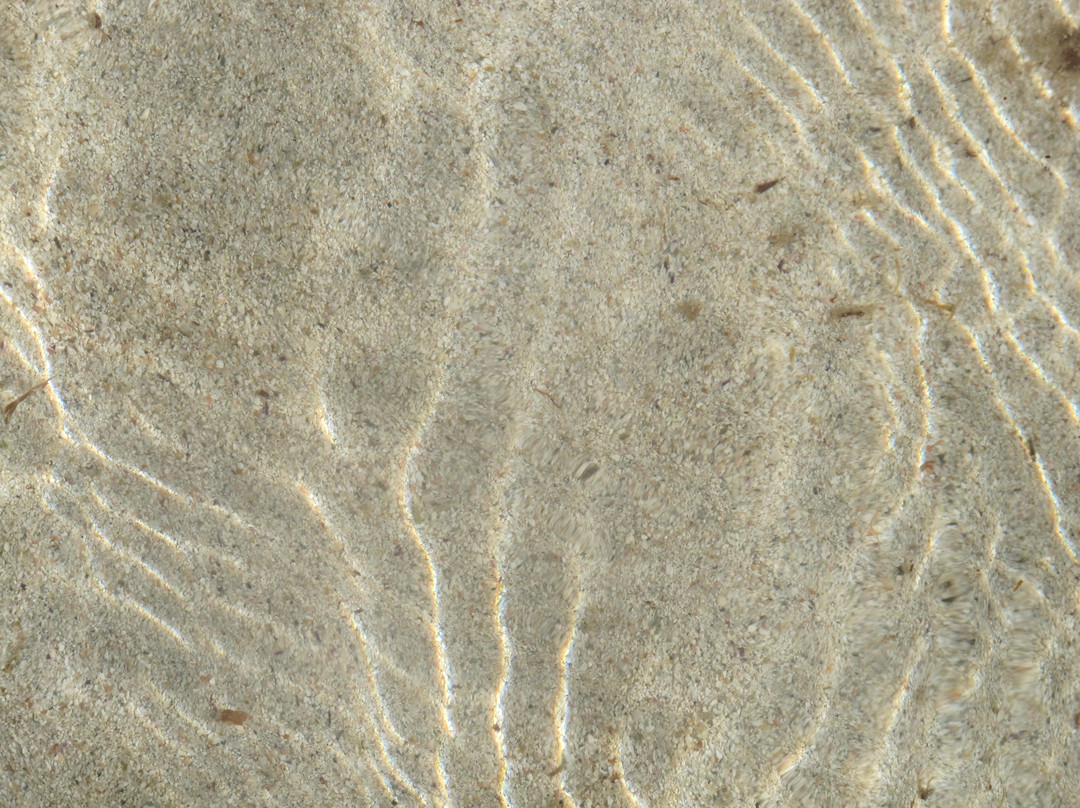 Playa El Marrajo景点图片