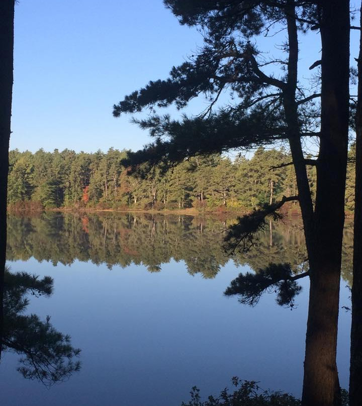 Myles Standish State Forest-普利茅斯必去景点