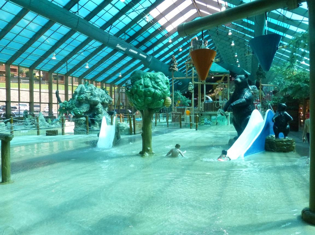 Wild Bear Falls Water Park-盖林柏格必去景点