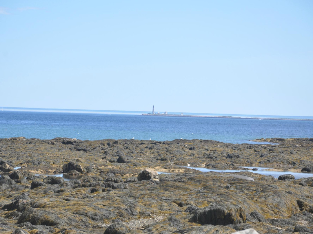 Petit Manan National Wildlife Refuge景点图片
