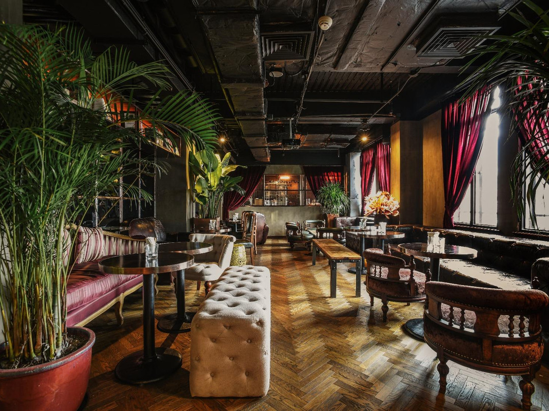 Library Distillery Lounge-上海市必去景点