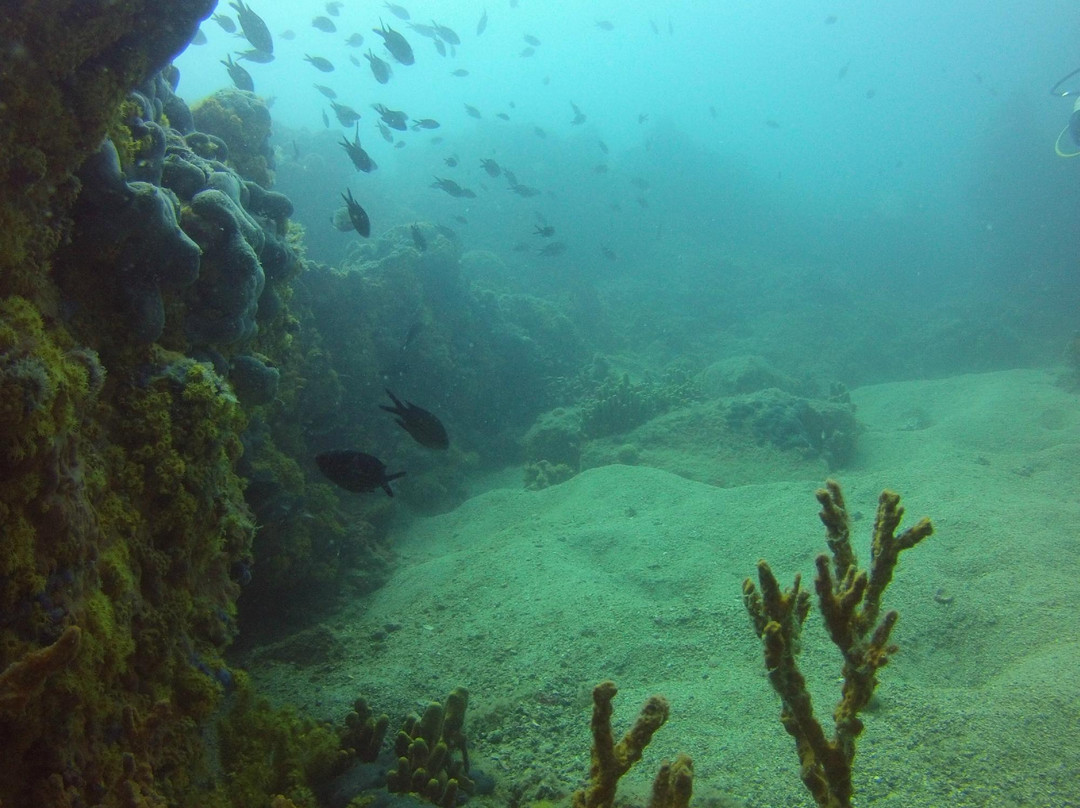 Lihadonisia Diving Center-Edipsos必去景点