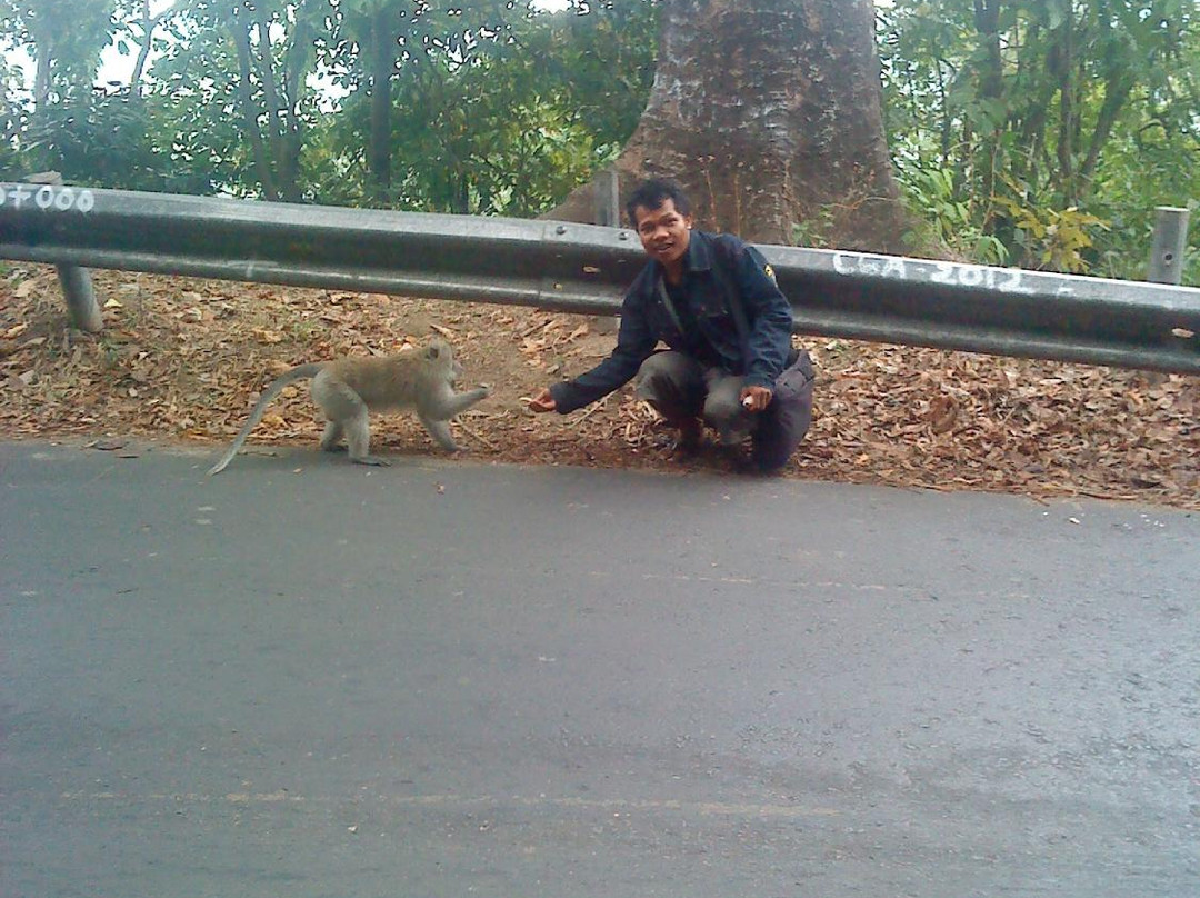 Puncak Pusuk Pass-Batu Layar必去景点