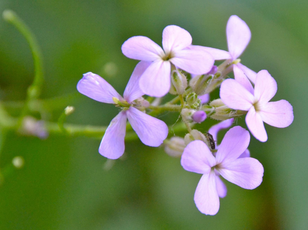 Rogers Reservoir Conservation Area-Newmarket必去景点