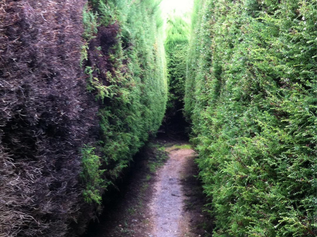 Wandiligong Maze-Wandiligong必去景点