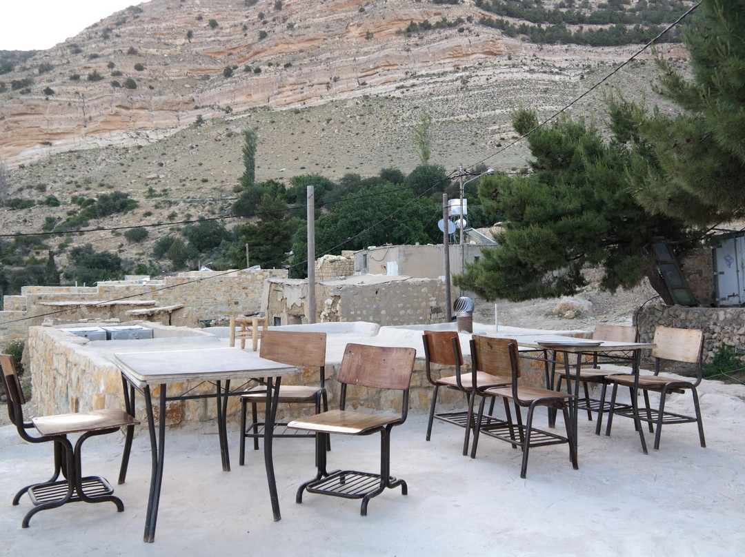 Dana酒店住宿-Dana Moon Hotel