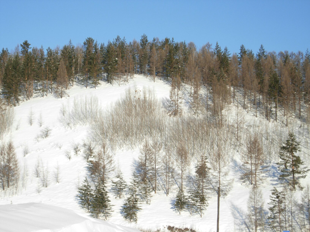松苑森林公园-漠河县必去景点