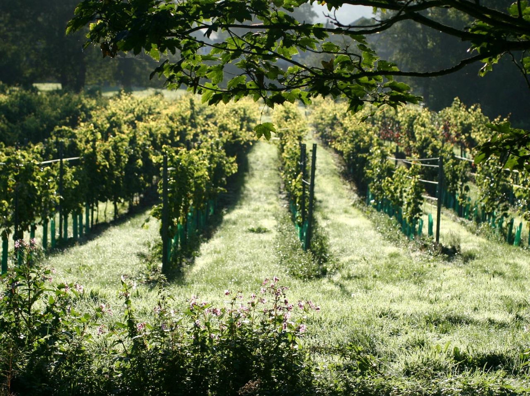 The Mount Vineyard-Shoreham必去景点